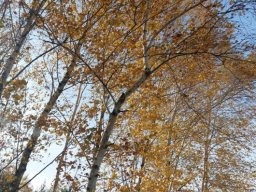 57356921512940110825268371804592799126958692n